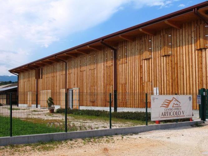 Articolo V horse academy