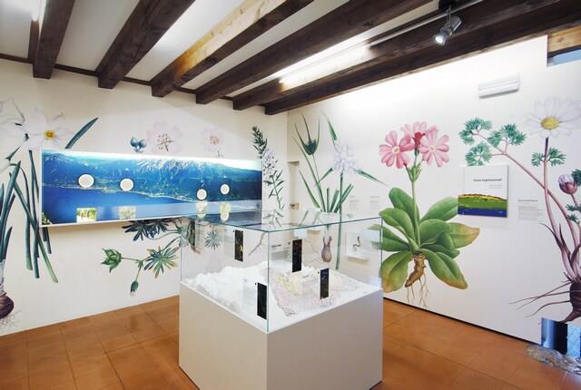 Museo di Storia Naturale 1