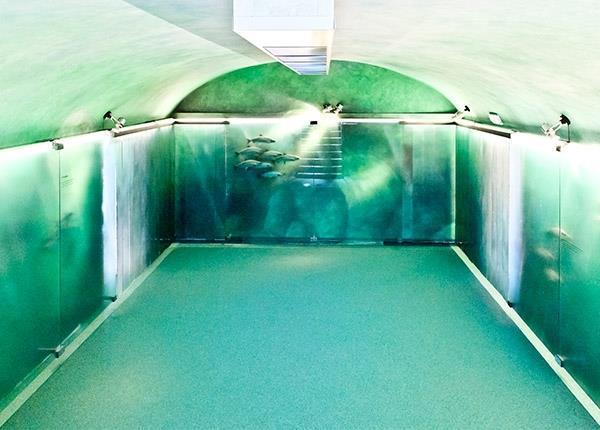 Museo di Storia Naturale 2