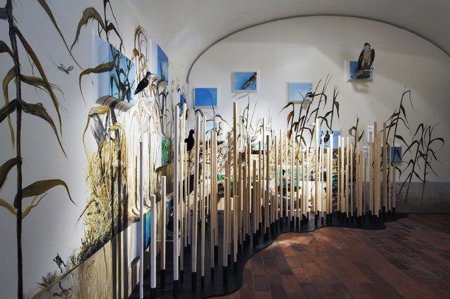 Museo di Storia Naturale 3