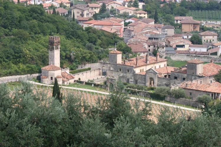 Villa Della Torre dall'alto