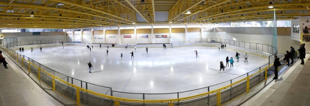 Palaghiaccio Robaan- interno