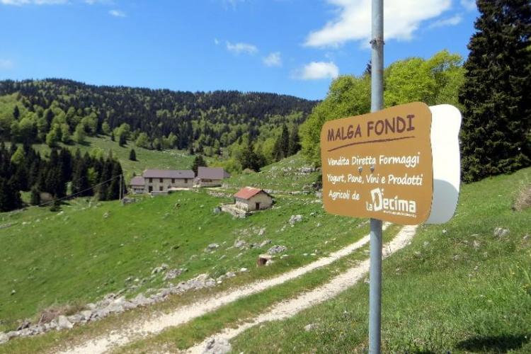 Malga Fondi