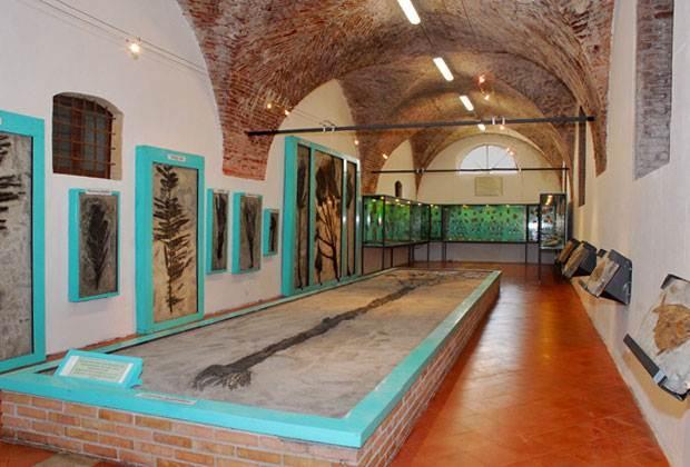 Museo dei Fossili "Pierluigi Malinverni"