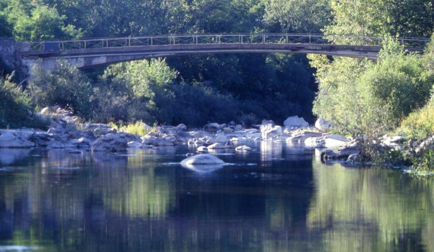 Foto di Vivere Calvene