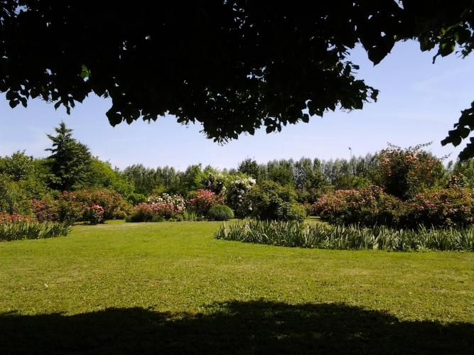 Giardino di villa Giustiniani