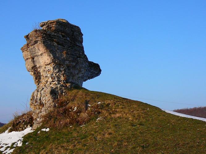 Fungo della Valle delle Sfingi