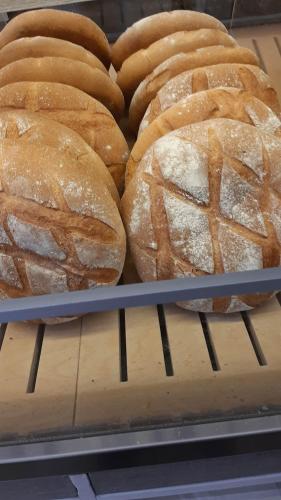 pagnotte lievito madre