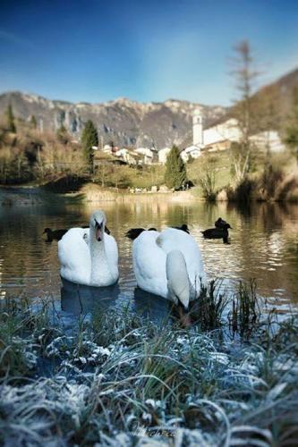 Laghetti, Laghi, Vicenza