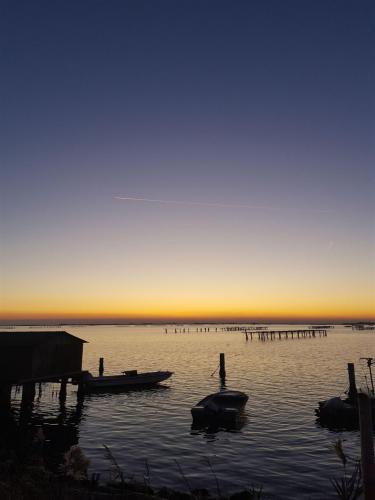 Sacca degli Scardovari 3