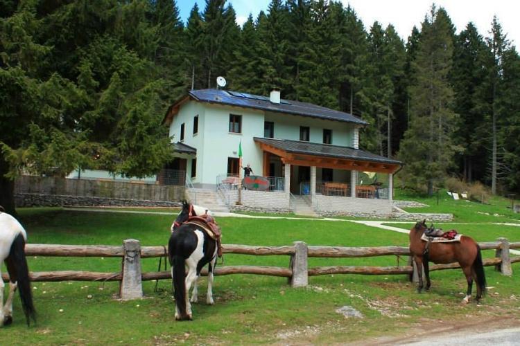 Foto Rifugio Bar Alpino