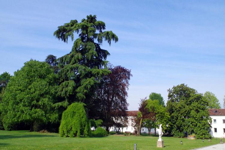 Parco Villa Bressanin a Borgoricco