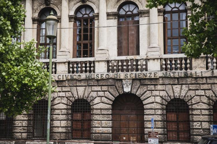 Dettaglio Museo Civico di Storia Naturale