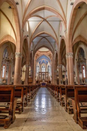 Chiesa di Bosco - interno1