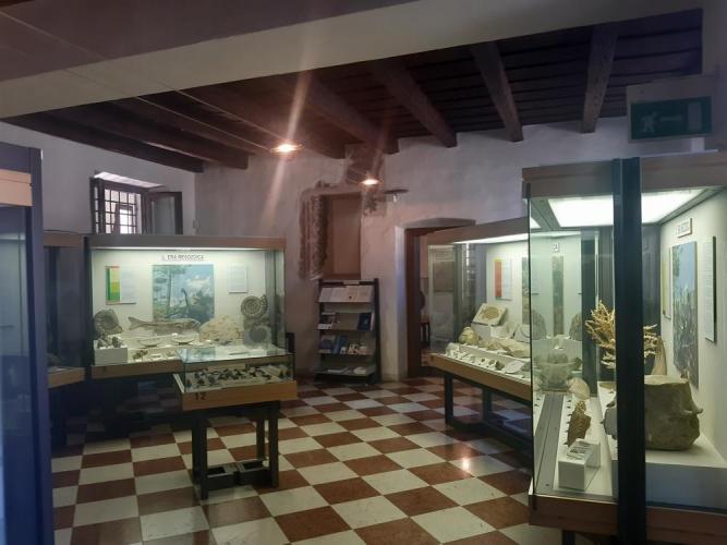 Museo Geopaleontologico e dei fossili