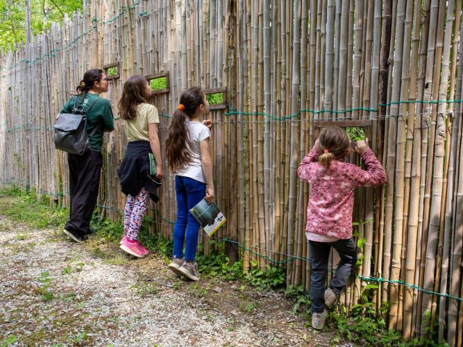 Ragazzi in Oasi Rossato