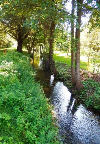 Oasi Naturalistica del Bosco - Villaverla