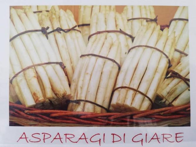 asparago di giare