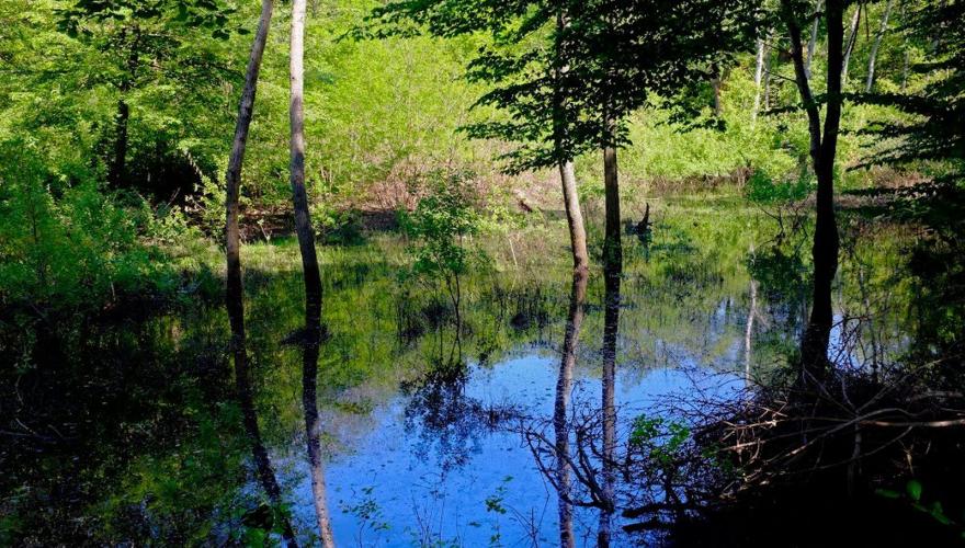 Sorgente delle Volpi