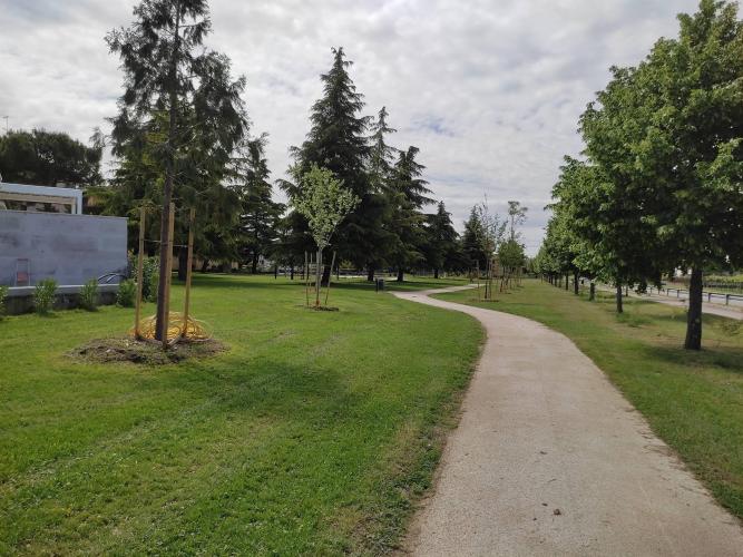 Parco urbano 6