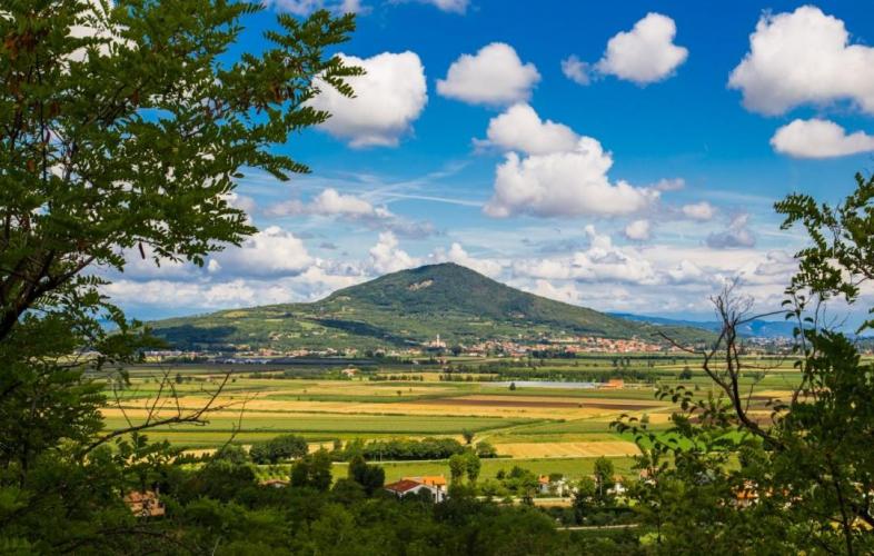 Panoramica dal Parco