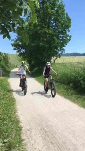 noleggio e-bike punto sport