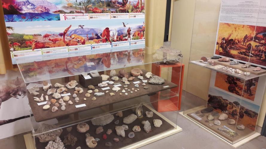 Museo Mino Meduaco 2 