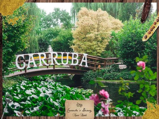 Ristorante Nuovo Ranch 4