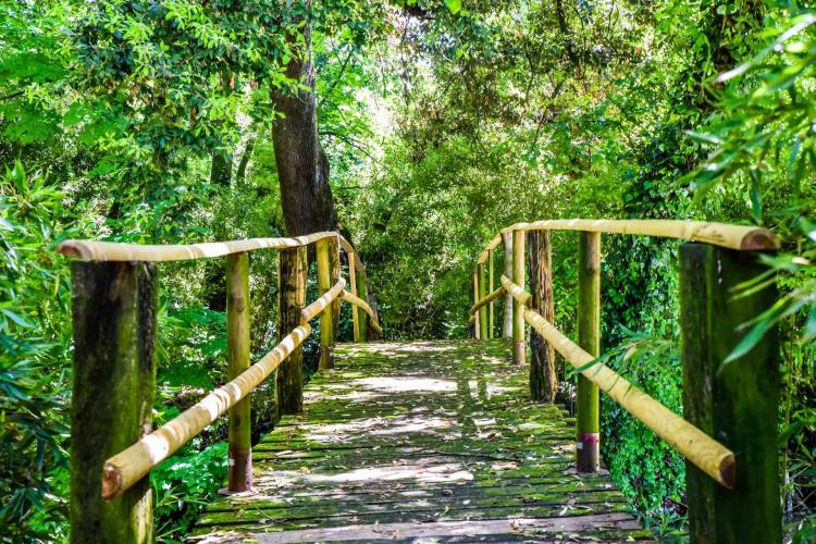 ponticello Parco Villa Wollemborg Loreggia