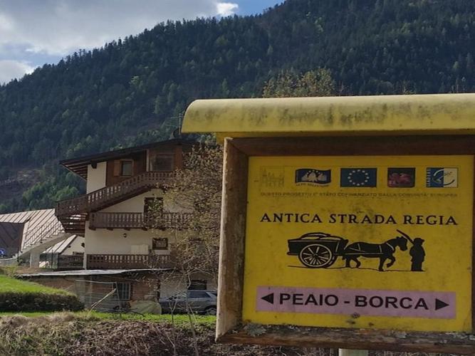 Simbolo Strada Regia