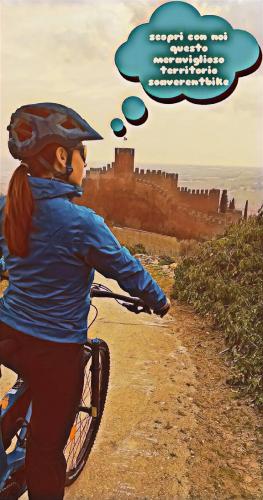 Soave Rent Bike 3