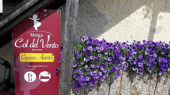 malga col del vento1