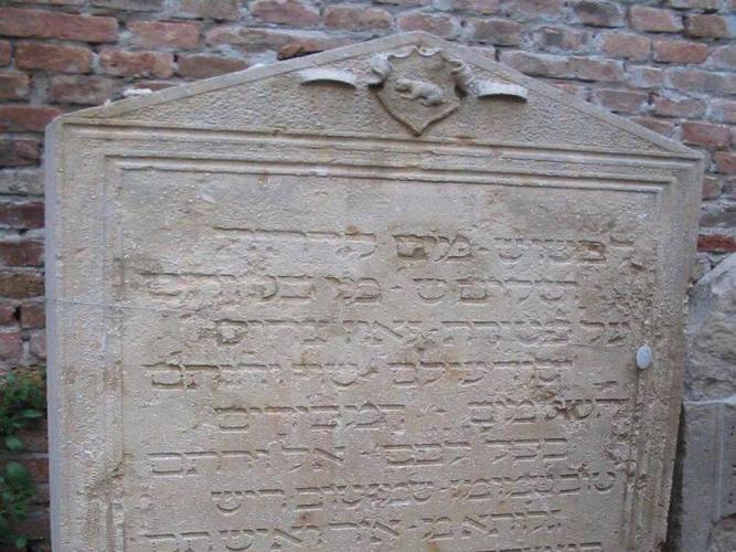 tomba katzenellenbogen