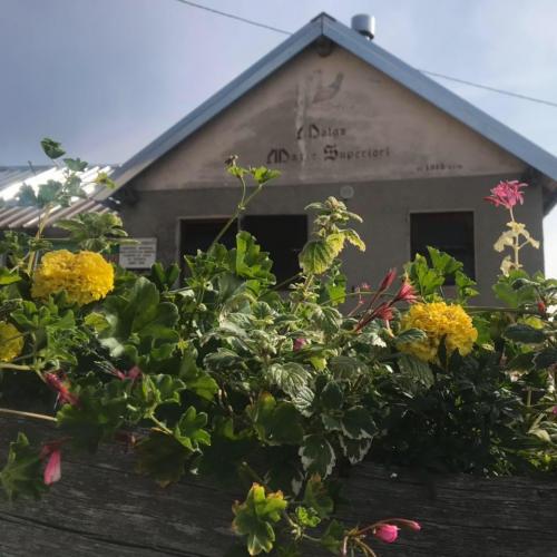 Malga Mazze Superiori