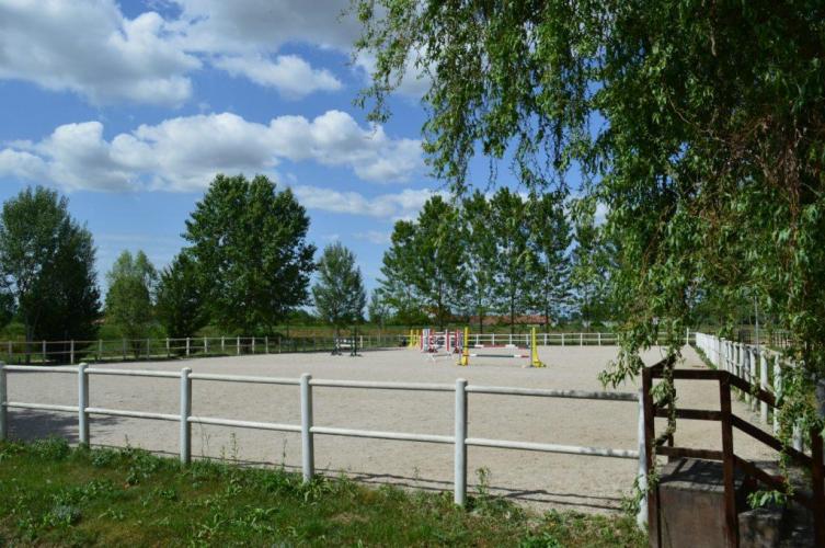 Centro Ippico “Il Primo Cavaliere”