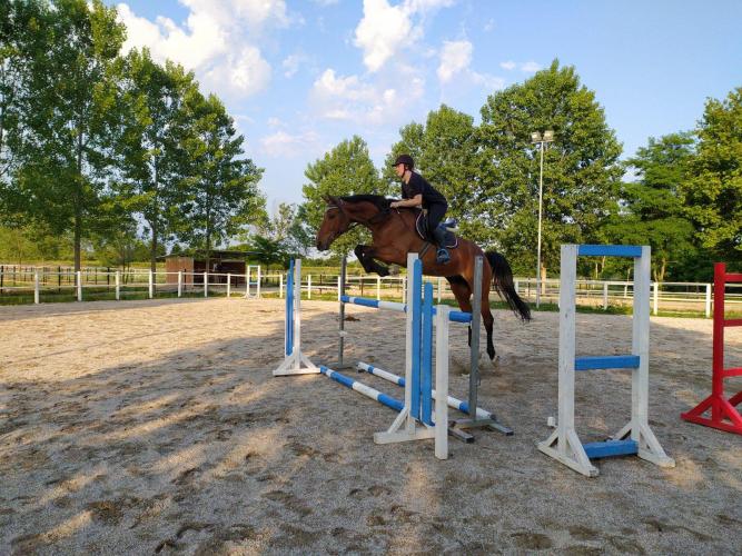 Centro Ippico “Il Primo Cavaliere”1