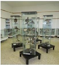 Museo Etnografico di Lova 2 