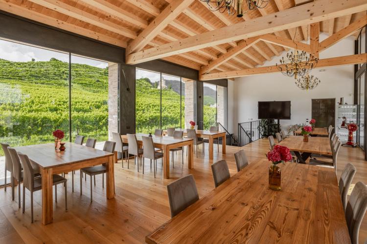 Merotto Graziano - azienda vinicola