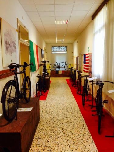 Salcedo Museo della Bicicletta