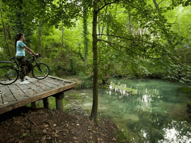 Sorgenti del Fiume Sile