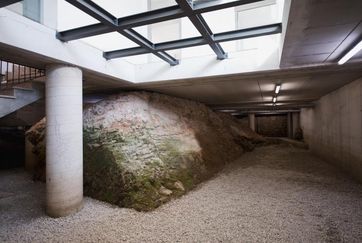 Ex Cantine Petternella