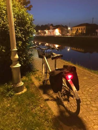 RIVIERA RENT A BIKE2