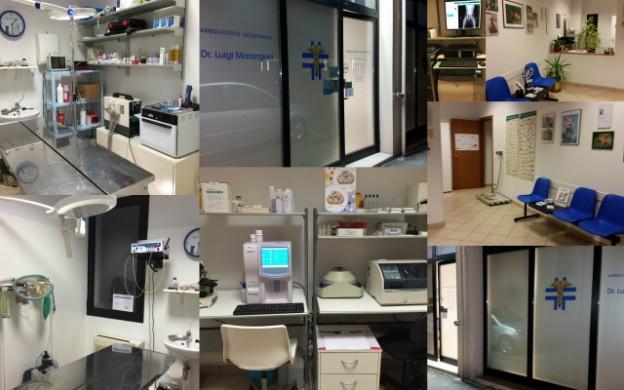 Ambulatorio veterinario Dott. Marangoni