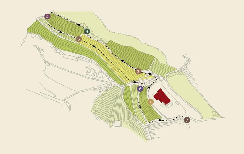 Cartina Percorso VineyardTour