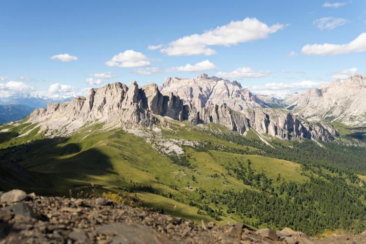 WhatsApp Image 2022-06-28 at 20.11.33 (1)