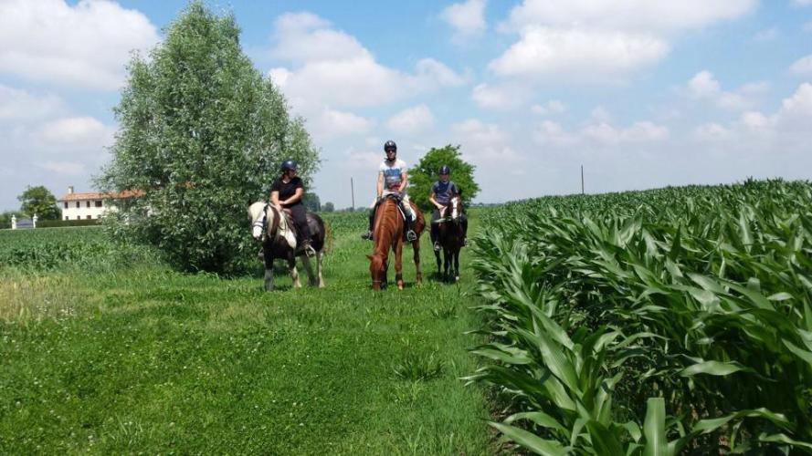 circolo ippico le giare 1