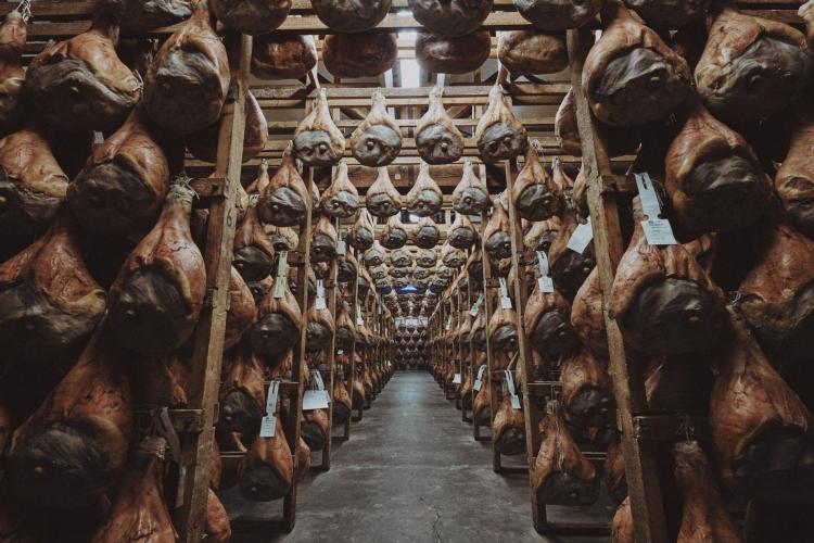 Aiti-Salumificio_Fontana-82362