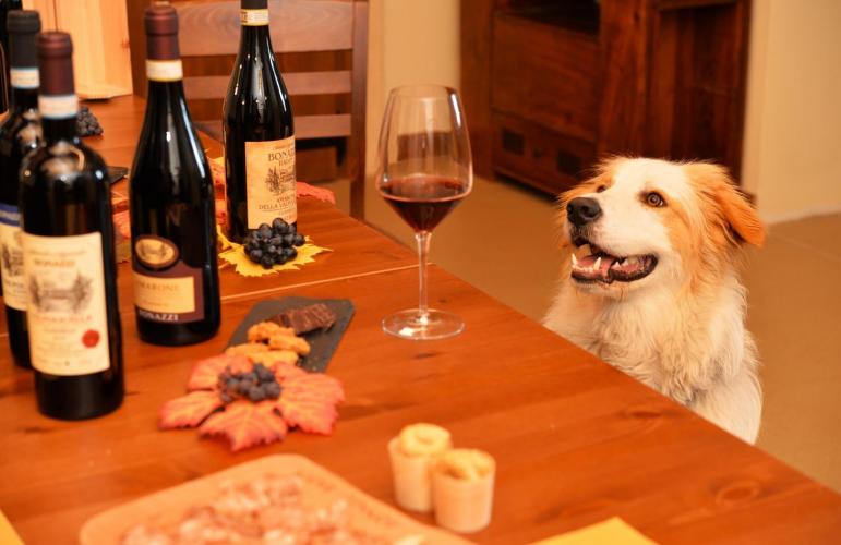 vino e reno - piccolo formato