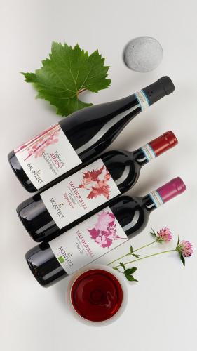 Degustazioni_Social2