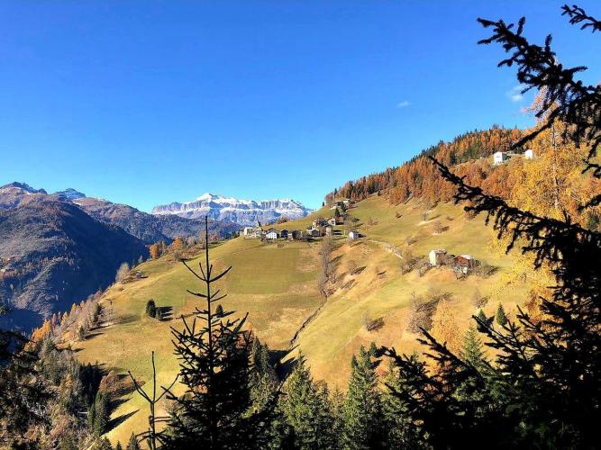 Larzonei - 24 ottobre 2021